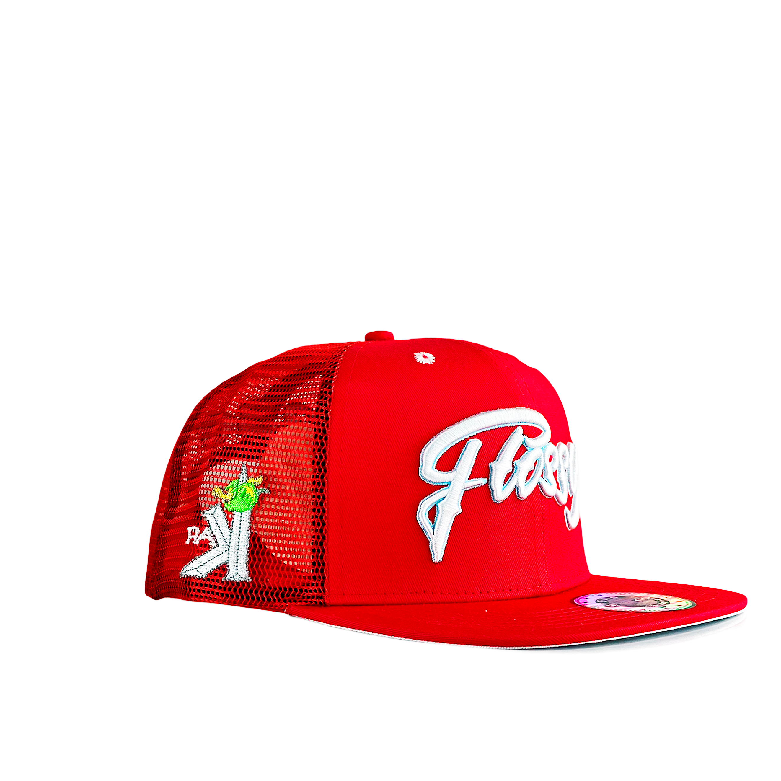 Snapback Hat