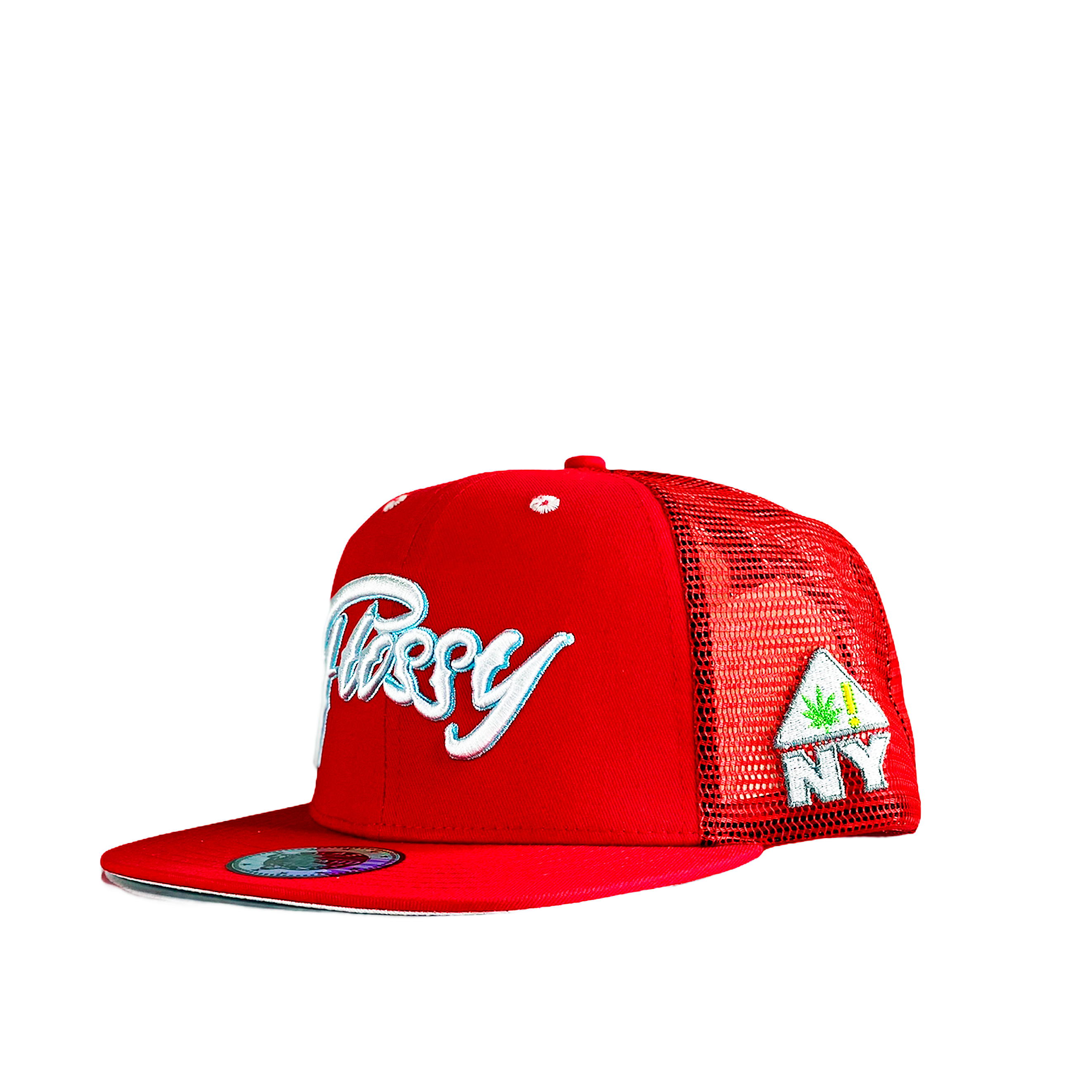 Snapback Hat