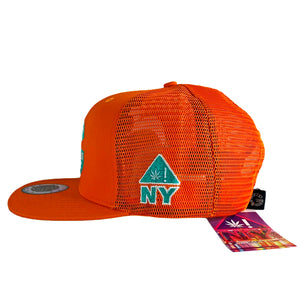 "Snap Of The Day" MIAMI Mesh Snapback