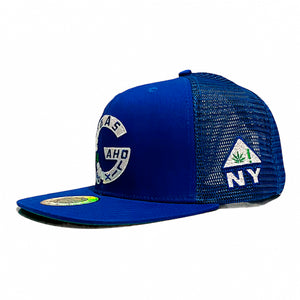 NIPSEY BLUE Mesh Snapback