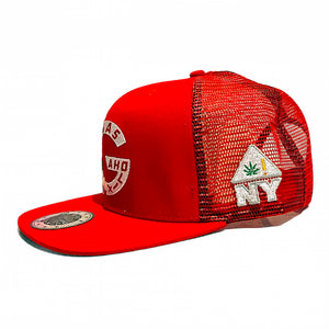 RED STORM Mesh Snapback